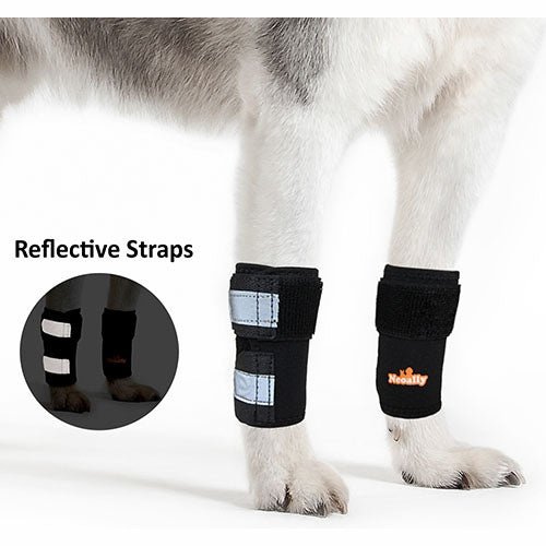 Load image into Gallery viewer, NeoAlly Dog Front Leg Braces: Enhance Safety with Reflective Straps (Pair)
