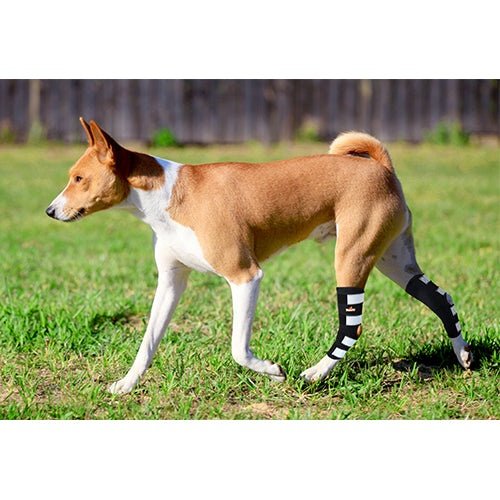 Load image into Gallery viewer, NeoAlly Dog Rear Leg Hock Brace with Metal Spring Strips for Large Dogs [Long Version] (Pair)

