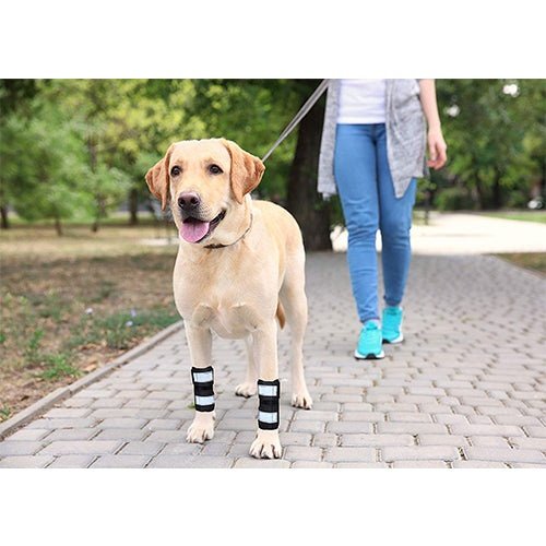 Load image into Gallery viewer, NeoAlly Dog Front Leg Brace with Reflective Straps - Metal Spring Inserts for Carpal Support (Pair)
