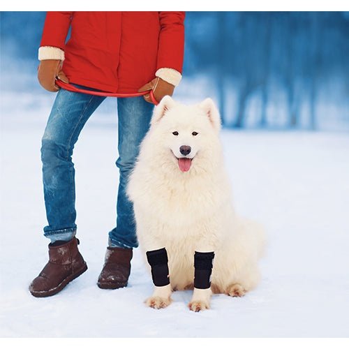 Load image into Gallery viewer, NeoAlly Dog Front Leg Braces: Enhance Safety with Reflective Straps (Pair)
