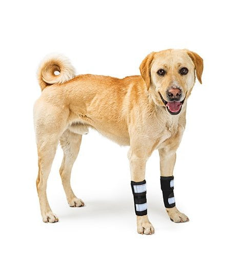 NeoAlly Dog Front Leg Brace with Reflective Straps - Metal Spring Inserts for Carpal Support (Pair)
