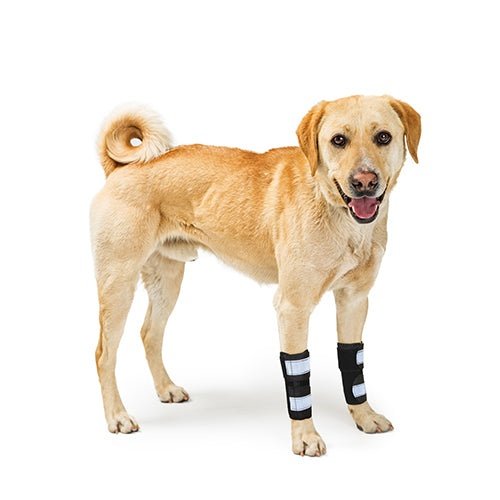 Load image into Gallery viewer, NeoAlly Dog Front Leg Brace with Reflective Straps - Metal Spring Inserts for Carpal Support (Pair)
