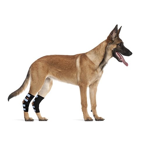 Load image into Gallery viewer, NeoAlly Dog Rear Leg Hock Brace with Safety Reflective Straps for Large Dogs [Long Version]
