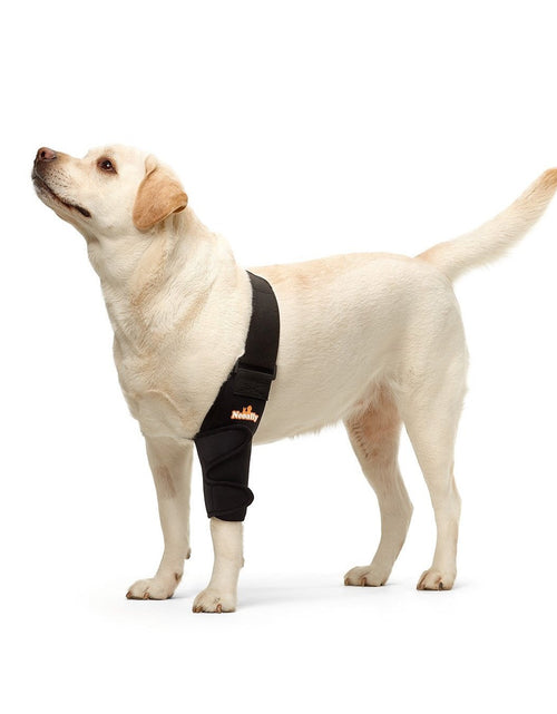 Load image into Gallery viewer, NeoAlly Elbow and Shoulder Brace for Dogs and Cats - Optimal Support for Pet Mobility
