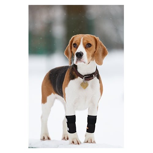 Load image into Gallery viewer, NeoAlly Dog Front Leg Braces: Enhance Safety with Reflective Straps (Pair)
