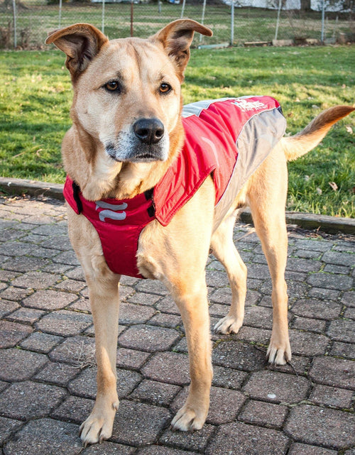 Load image into Gallery viewer, Dog Helios ® Altitude-Mountaineer Wrap-Hook-and-Loop Waterproof Dog Coat
