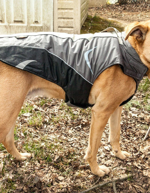Load image into Gallery viewer, Dog Helios ® Altitude-Mountaineer Wrap-Hook-and-Loop Waterproof Dog Coat
