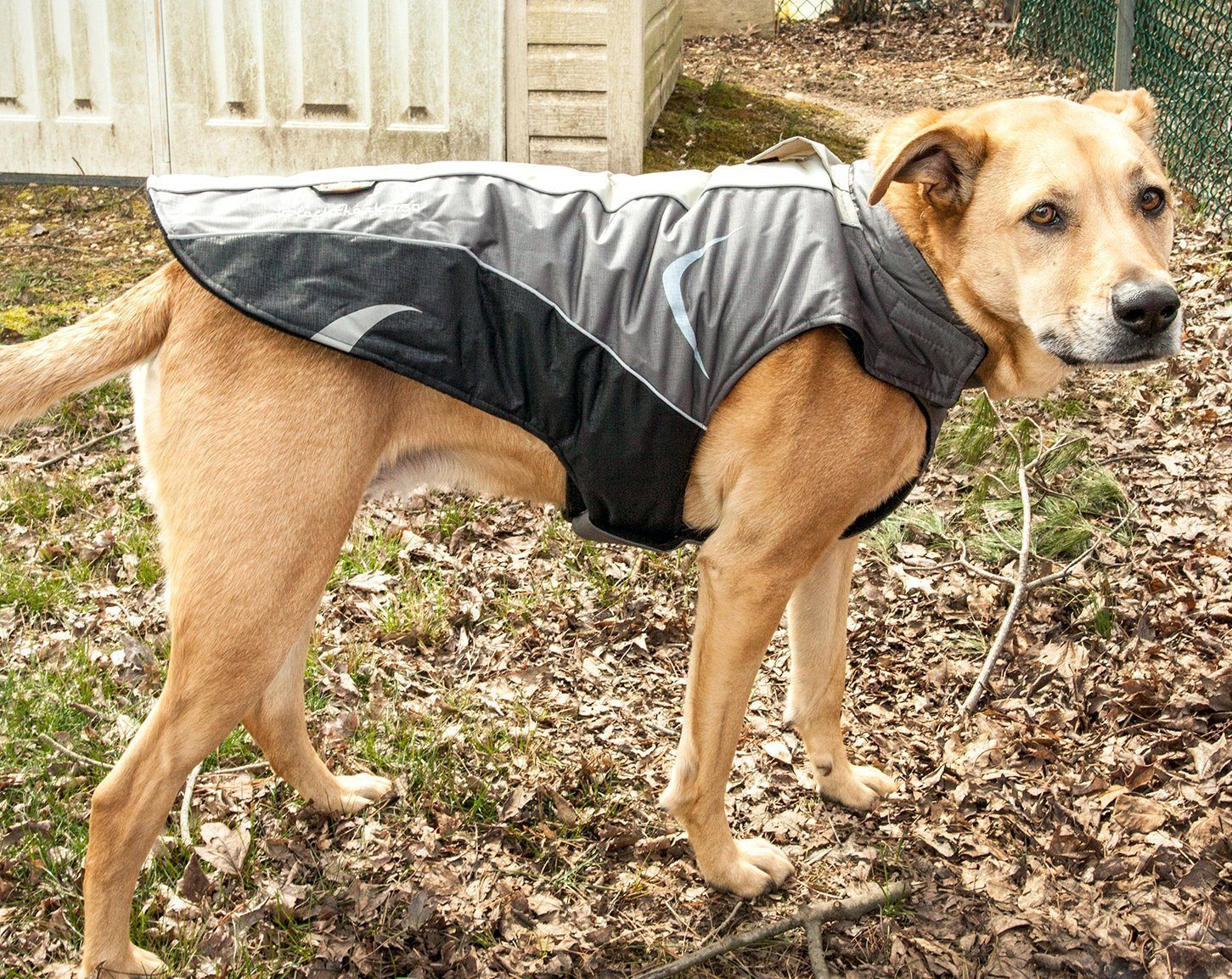 Dog Helios ® Altitude-Mountaineer Wrap-Hook-and-Loop Waterproof Dog Coat