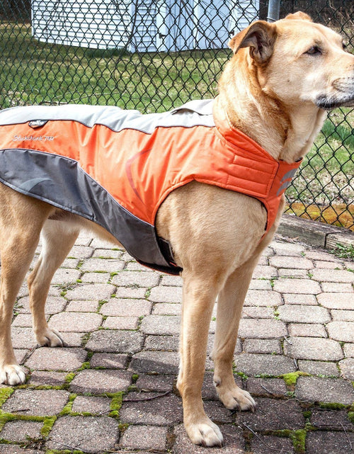 Load image into Gallery viewer, Dog Helios ® Altitude-Mountaineer Wrap-Hook-and-Loop Waterproof Dog Coat
