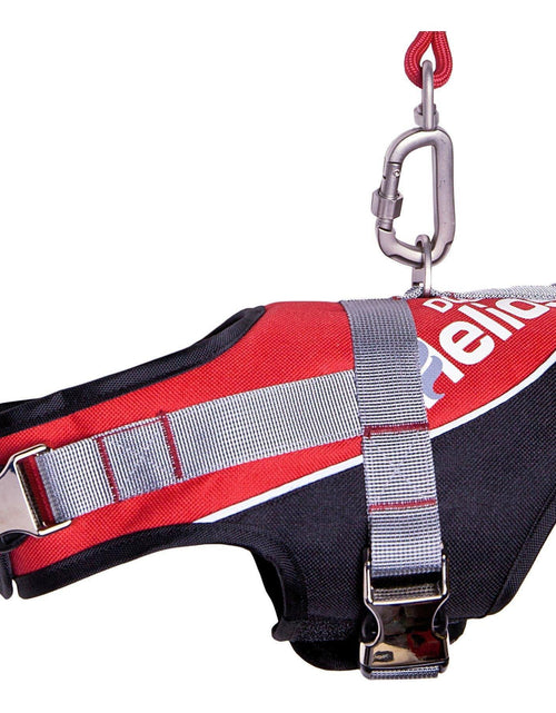Load image into Gallery viewer, Dog Helios ® 'Bark-Mudder' 2-in-1 Reflective and Adjustable Sporty Dog Harness and Leash
