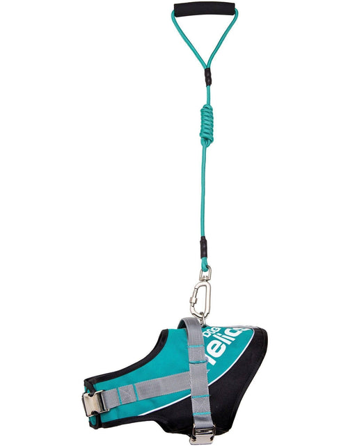 Load image into Gallery viewer, Dog Helios ® 'Bark-Mudder' 2-in-1 Reflective and Adjustable Sporty Dog Harness and Leash
