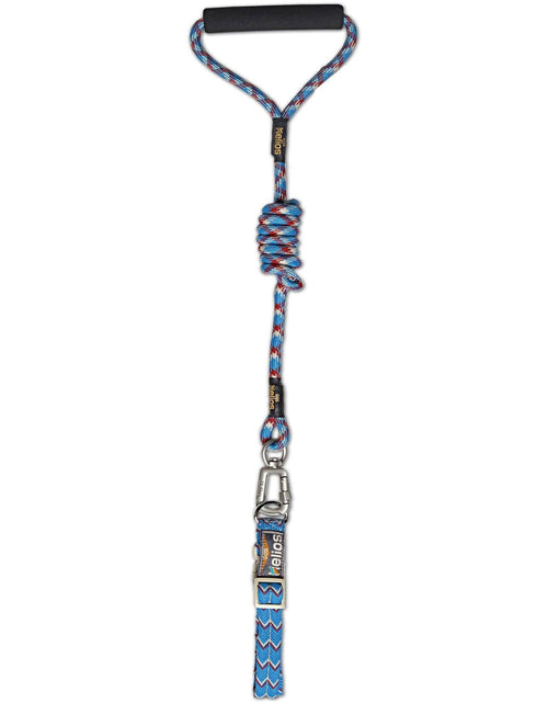 Load image into Gallery viewer, Dog Helios ® 'Dura-Tough' 2-in-1 Reflective Adjustable Fashion Dog Leash and Collar
