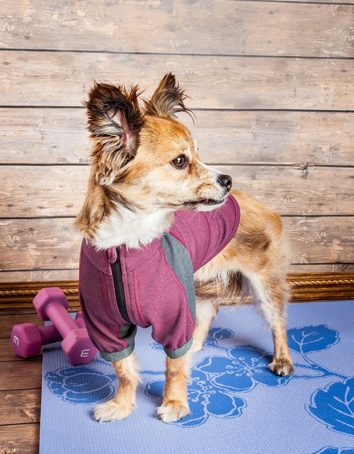 Load image into Gallery viewer, Dog Helios ® 'Eboneflow' Mediumweight 4-Way-Stretch Flexible And Breathable Performance Dog Yoga T-Shirt
