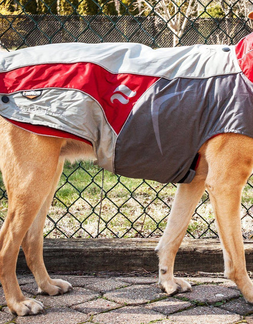 Load image into Gallery viewer, Dog Helios ® Lotus-Rusher 2-in-1 Dual-Removable Layered Performance Dog Jacket
