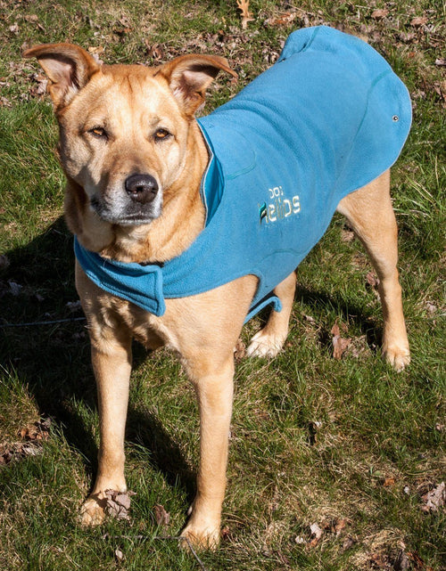 Load image into Gallery viewer, Dog Helios ® Lotus-Rusher 2-in-1 Dual-Removable Layered Performance Dog Jacket
