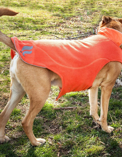 Load image into Gallery viewer, Dog Helios ® Lotus-Rusher 2-in-1 Dual-Removable Layered Performance Dog Jacket

