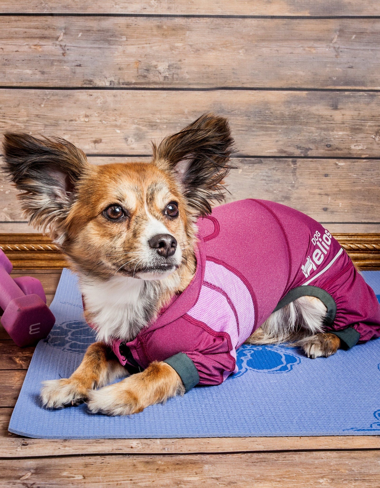 Dog Helios ® 'Namastail' Lightweight 4-Way-Stretch Yoga Performance Dog Tracksuit Hoodie