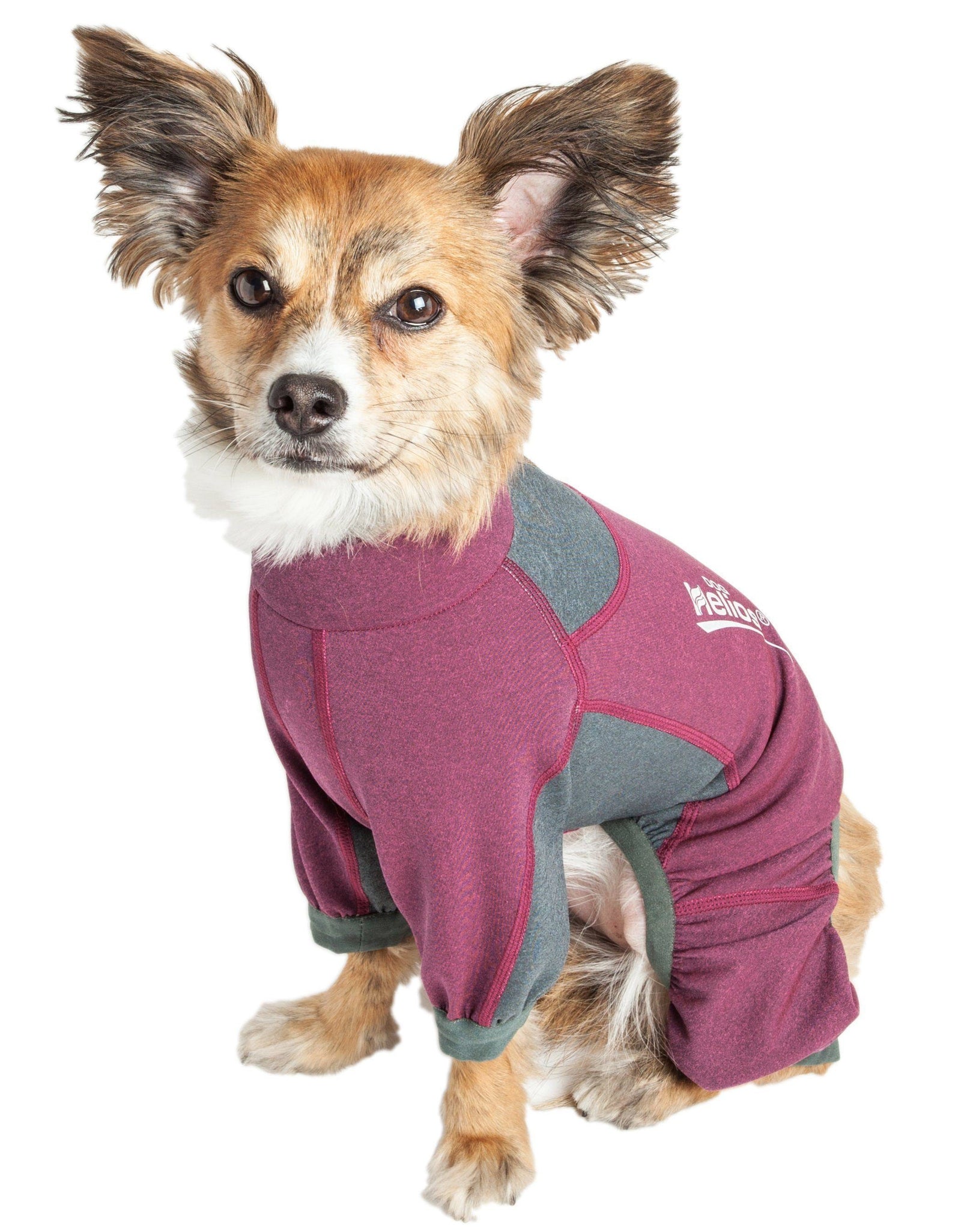 Dog Helios ® 'Rufflex' Mediumweight 4-Way-Stretch Fitness Yoga Dog Tracksuit Jacket