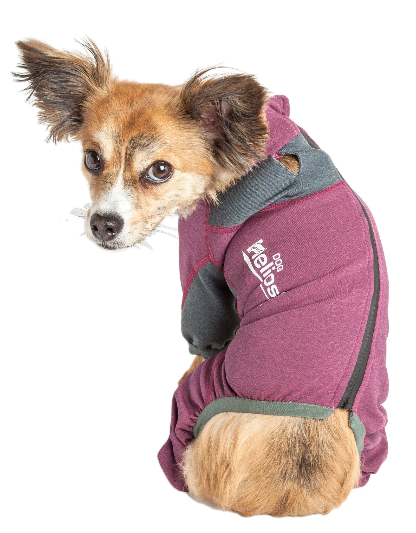 Dog Helios ® 'Rufflex' Mediumweight 4-Way-Stretch Fitness Yoga Dog Tracksuit Jacket
