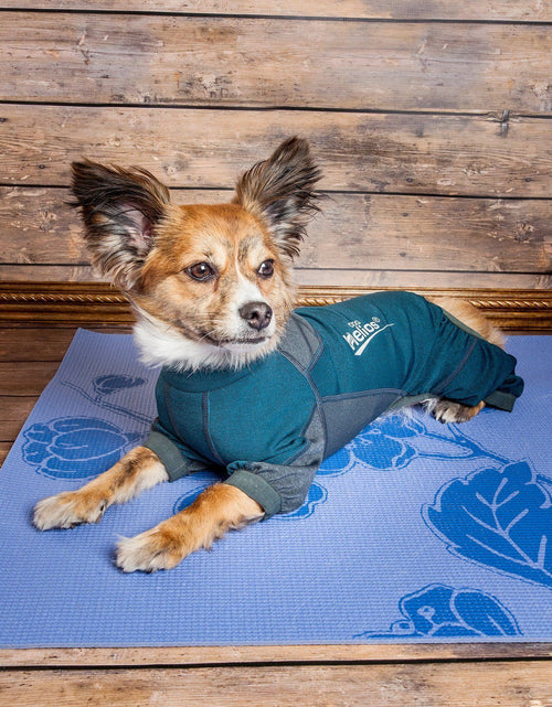 Load image into Gallery viewer, Dog Helios ® 'Rufflex' Mediumweight 4-Way-Stretch Fitness Yoga Dog Tracksuit Jacket
