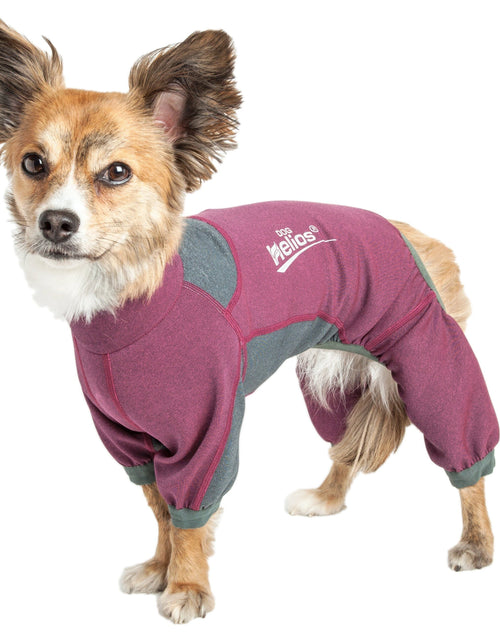 Load image into Gallery viewer, Dog Helios ® 'Rufflex' Mediumweight 4-Way-Stretch Fitness Yoga Dog Tracksuit Jacket
