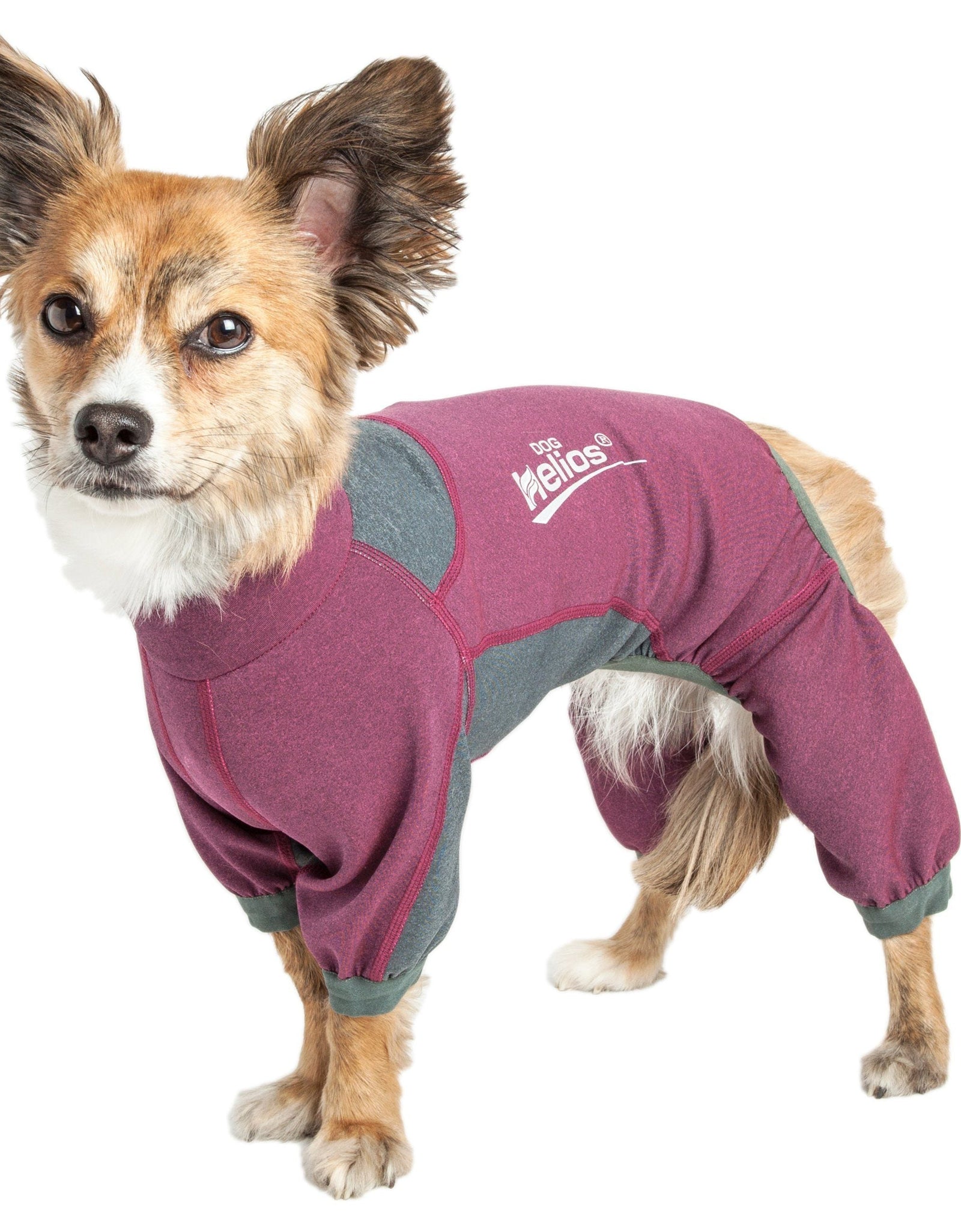 Dog Helios ® 'Rufflex' Mediumweight 4-Way-Stretch Fitness Yoga Dog Tracksuit Jacket
