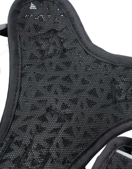 Load image into Gallery viewer, Dog Helios ® 'Scorpion' Sporty High-Performance Free-Range Dog Harness
