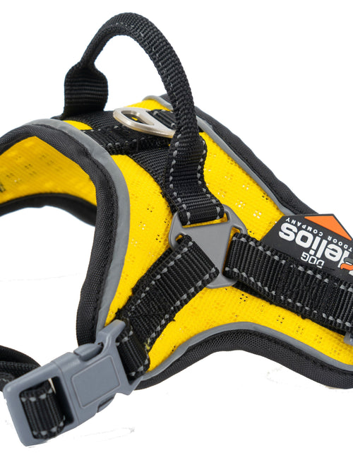 Load image into Gallery viewer, Dog Helios ® 'Scorpion' Sporty High-Performance Free-Range Dog Harness
