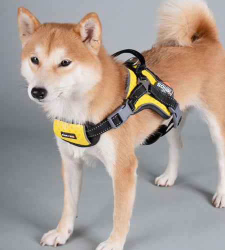 Dog Helios ® 'Scorpion' Sporty High-Performance Free-Range Dog Harness