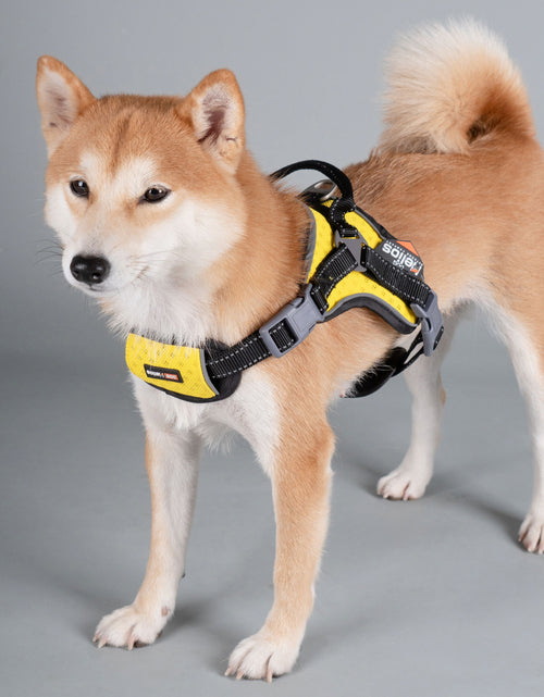 Load image into Gallery viewer, Dog Helios ® 'Scorpion' Sporty High-Performance Free-Range Dog Harness
