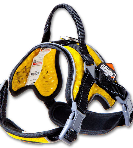 Dog Helios ® 'Scorpion' Sporty High-Performance Free-Range Dog Harness