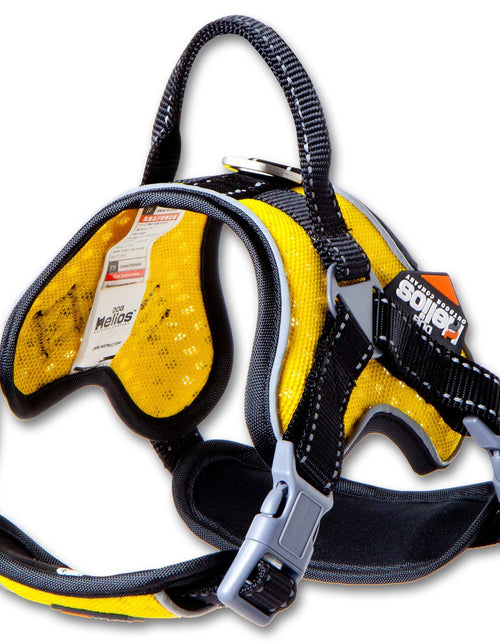Load image into Gallery viewer, Dog Helios ® 'Scorpion' Sporty High-Performance Free-Range Dog Harness
