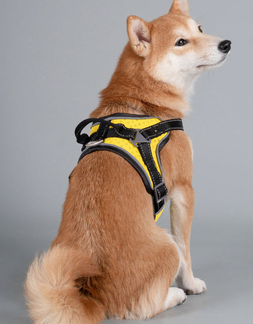 Load image into Gallery viewer, Dog Helios ® 'Scorpion' Sporty High-Performance Free-Range Dog Harness
