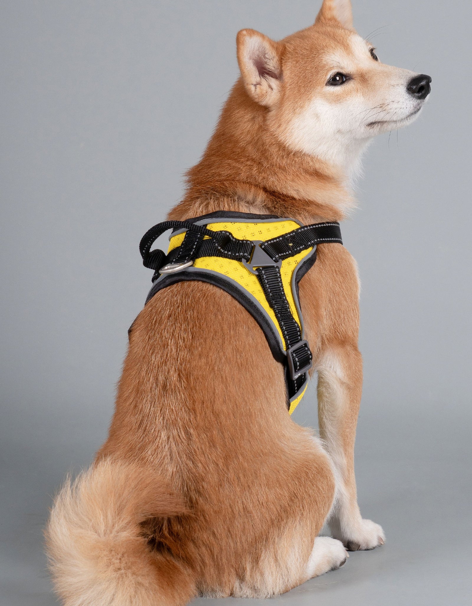 Dog Helios ® 'Scorpion' Sporty High-Performance Free-Range Dog Harness