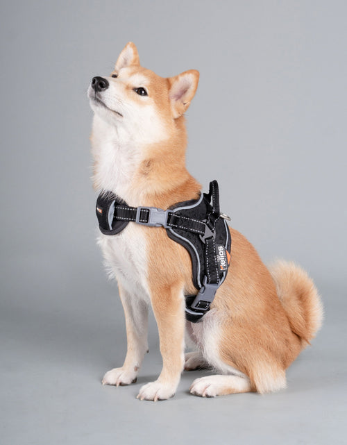 Load image into Gallery viewer, Dog Helios ® 'Scorpion' Sporty High-Performance Free-Range Dog Harness
