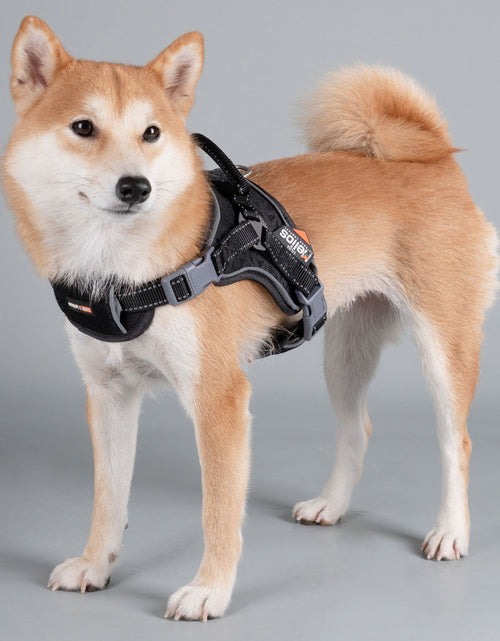 Load image into Gallery viewer, Dog Helios ® 'Scorpion' Sporty High-Performance Free-Range Dog Harness
