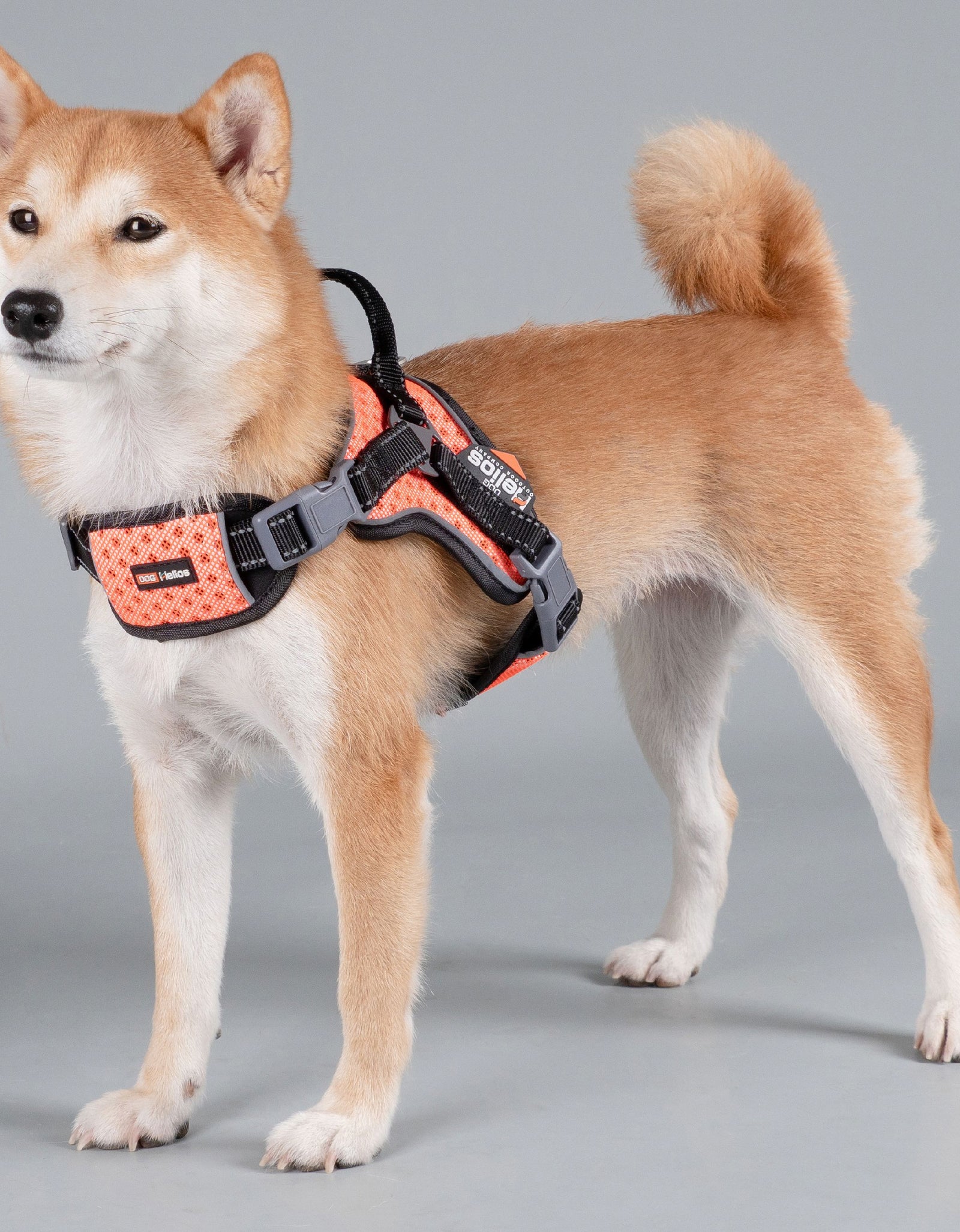 Dog Helios ® 'Scorpion' Sporty High-Performance Free-Range Dog Harness