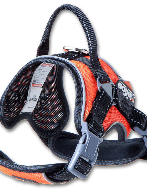Load image into Gallery viewer, Dog Helios ® 'Scorpion' Sporty High-Performance Free-Range Dog Harness
