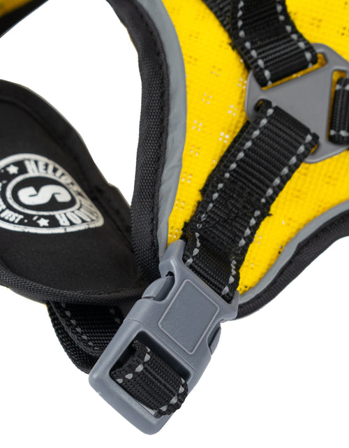 Load image into Gallery viewer, Dog Helios ® 'Scorpion' Sporty High-Performance Free-Range Dog Harness
