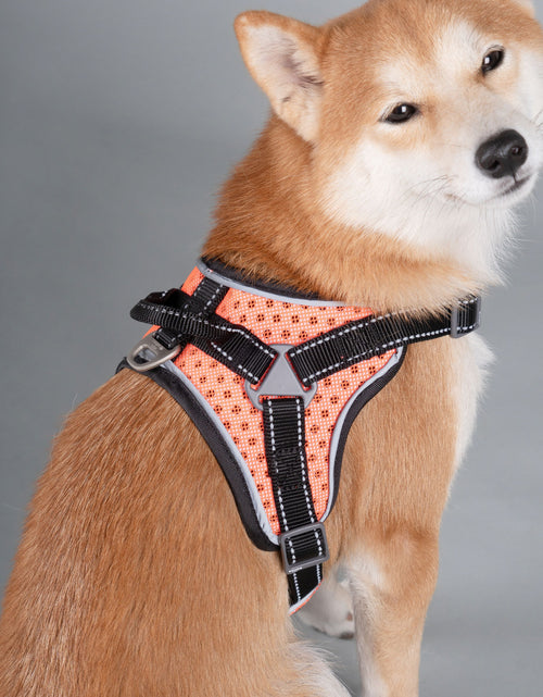 Load image into Gallery viewer, Dog Helios ® 'Scorpion' Sporty High-Performance Free-Range Dog Harness
