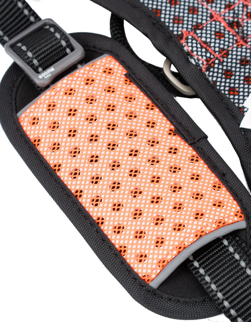 Load image into Gallery viewer, Dog Helios ® 'Scorpion' Sporty High-Performance Free-Range Dog Harness
