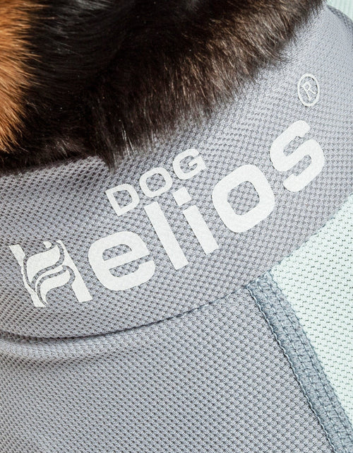 Load image into Gallery viewer, Dog Helios ® 'Tail Runner' Lightweight 4-Way-Stretch Breathable Yoga Dog Tracksuit
