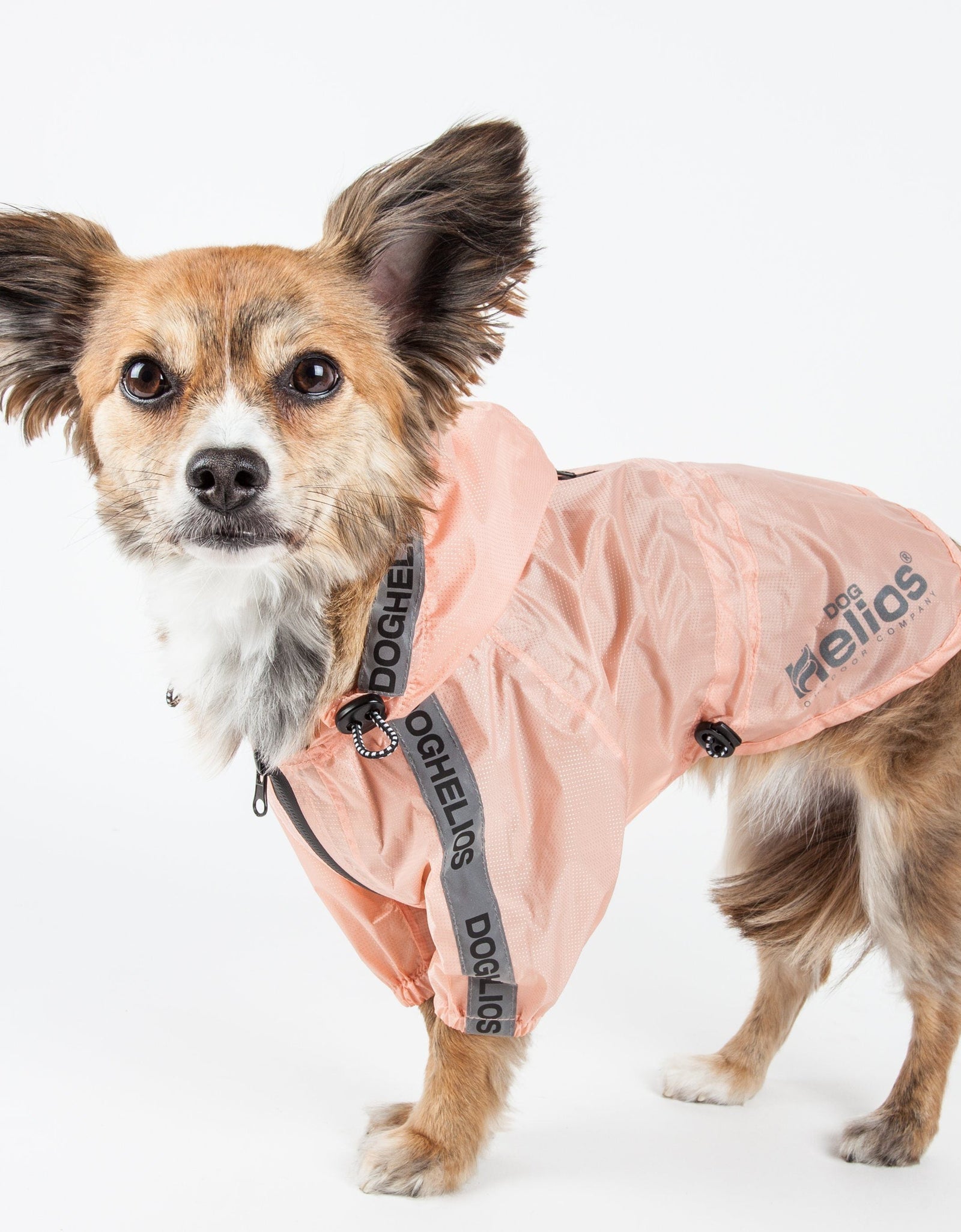 Dog Helios ® 'Torrential Shield' Adjustable and Waterproof Dog Raincoat Poncho