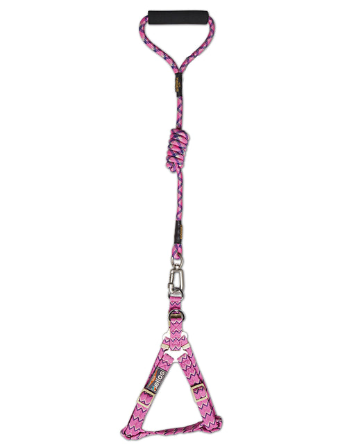 Load image into Gallery viewer, Dog Helios 'Surfside' Adjustable Dog Harness and Leash

