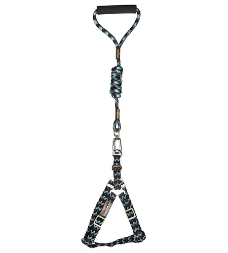 Dog Helios 'Surfside' Adjustable Dog Harness and Leash