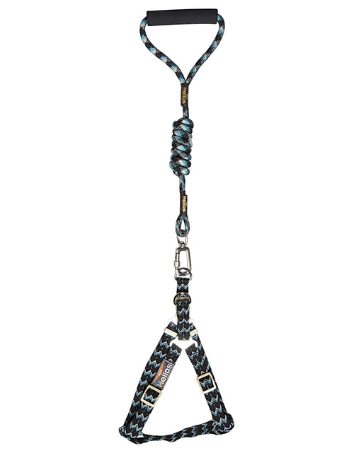 Load image into Gallery viewer, Dog Helios 'Surfside' Adjustable Dog Harness and Leash
