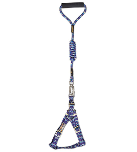 Dog Helios 'Surfside' Adjustable Dog Harness and Leash