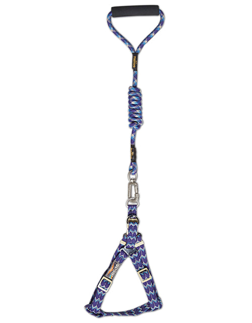 Load image into Gallery viewer, Dog Helios 'Surfside' Adjustable Dog Harness and Leash
