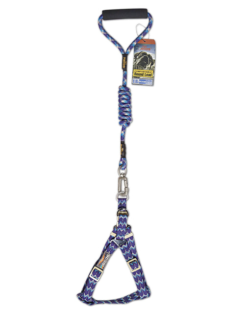 Load image into Gallery viewer, Dog Helios Surfside Designer Leash and Harness
