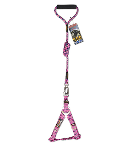 Dog Helios Surfside Designer Leash and Harness